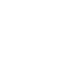 Destination category - cities icon