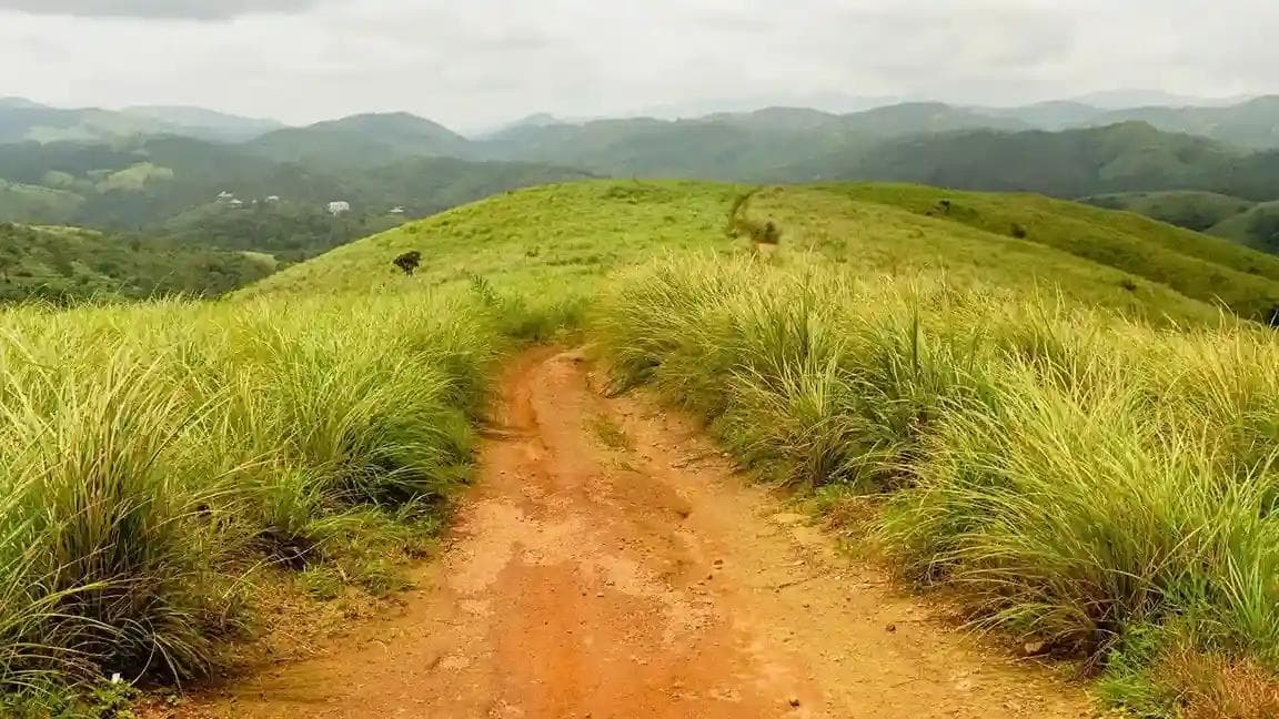 image of vagamon-01