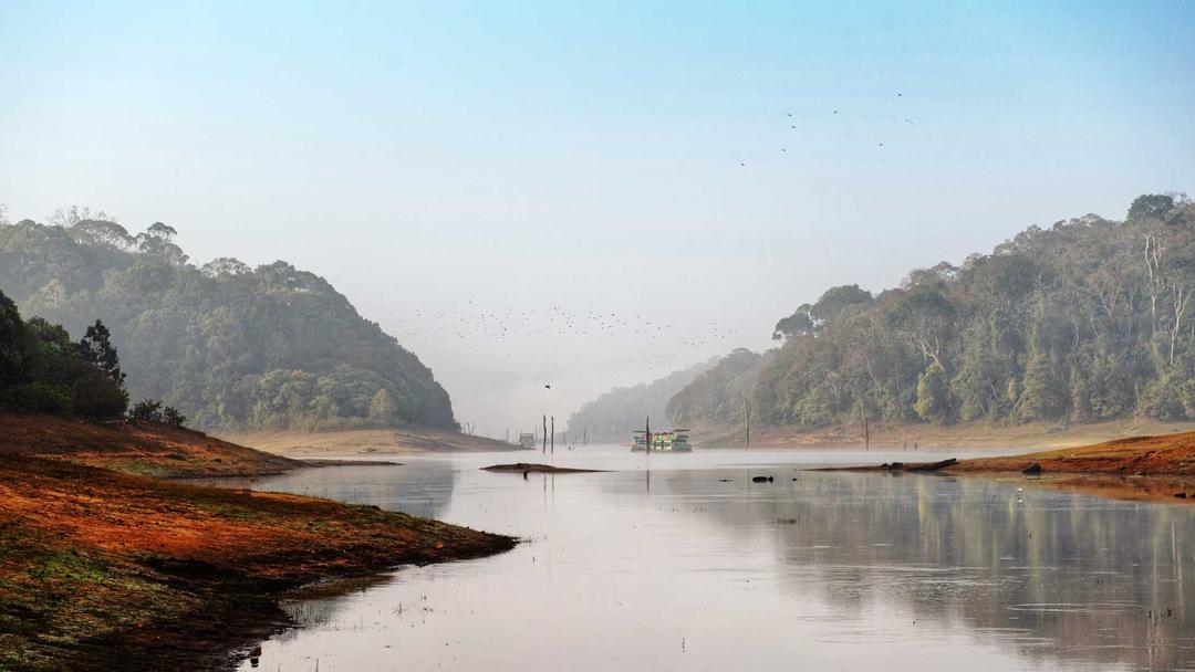 Image of Wildlife Sanctuary in Thekkady, Kerala